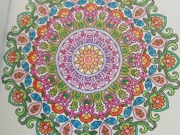 whatsapp bild 2023-07-14 um 18.52.41